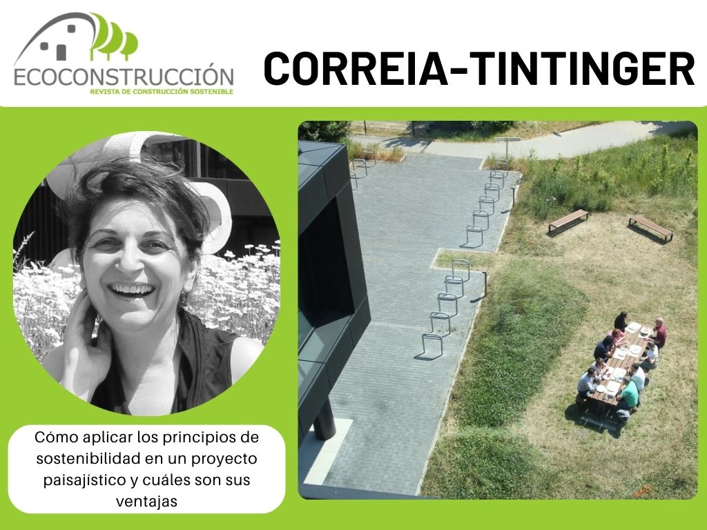 correia tintines