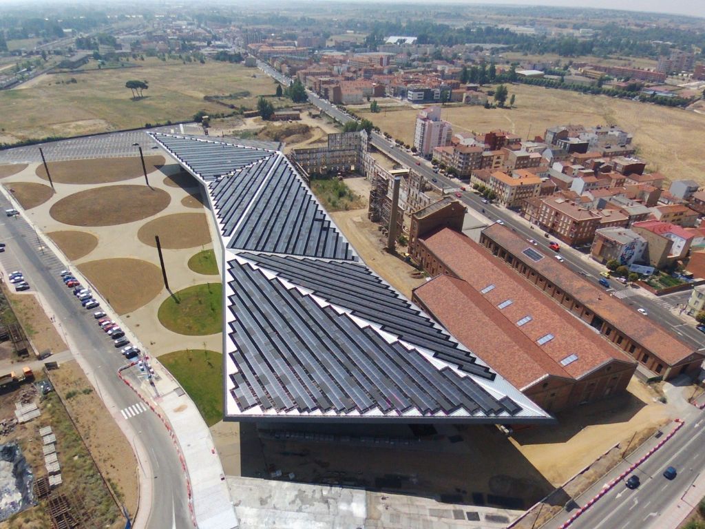 león prooyecto 