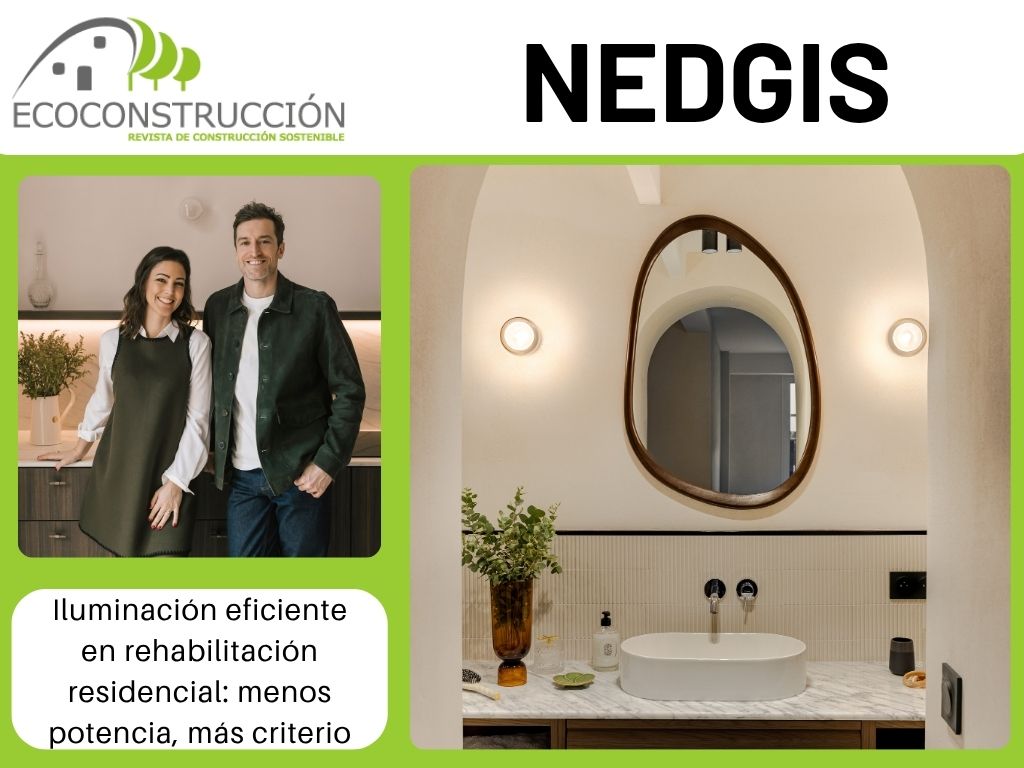 nedgis articulo