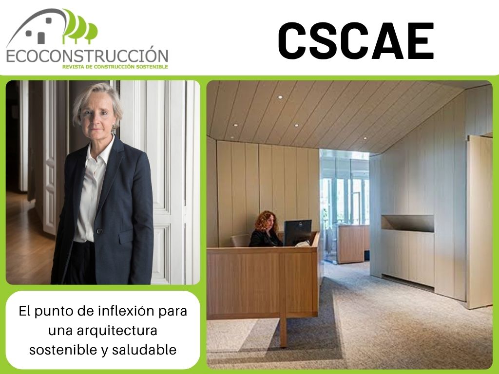 cscae articulo